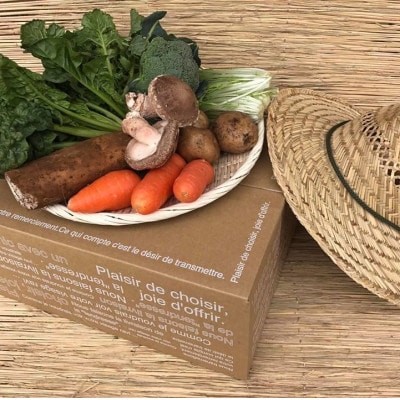 【発送月固定定期便】【ハーフサイズ】栽培期間中農薬不使用 身体が喜ぶ野菜(おまかせ6～7品)全10回