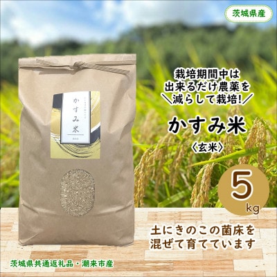 【毎月定期便】栽培期間中出来るだけ農薬を減らしたかすみ米玄米5kg茨城県共通返礼品潮来市産全12回