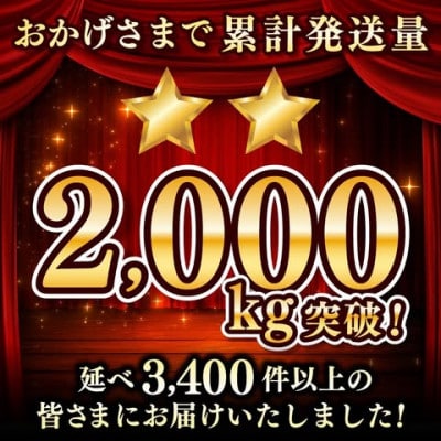 【2週間毎定期便】KASHIMA12 アロマブレンド コーヒー豆 計1kg(各回500g)粉 全2回