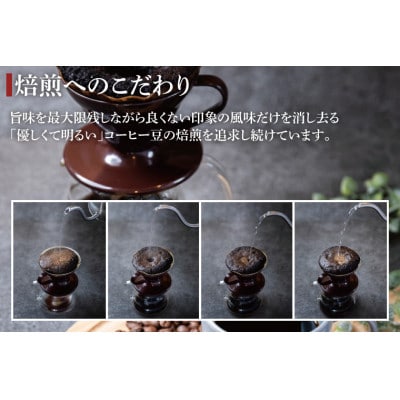 【2週間毎定期便】KASHIMA12ビターブレンド コーヒー豆 計12kg(各回500g)豆全24回