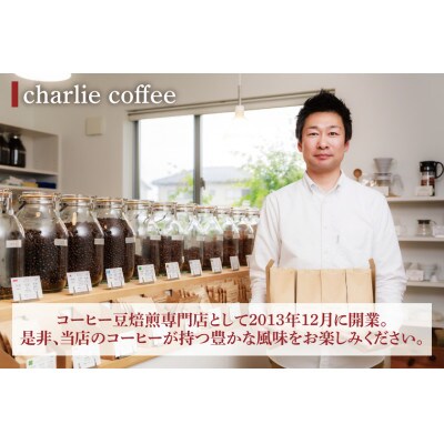 【2週間毎定期便】KASHIMA12飲み比べセット コーヒー豆 計12kg(各回500g)粉全24回