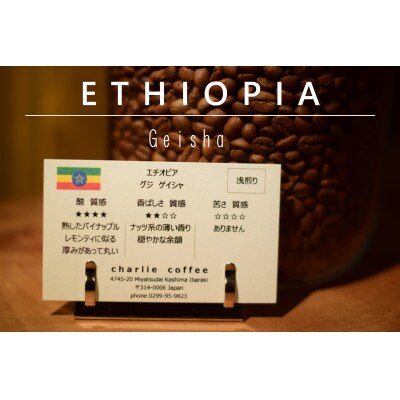 【毎月定期便】「豆」4種飲み比べ・スペシャルティの酸を楽しむローストセット全12回