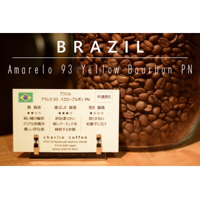 【毎月定期便】「豆」4種飲み比べ・スペシャルティの酸を楽しむローストセット全12回