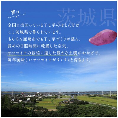 【季節限定】干し芋セット(小) 4種5袋 食べ比べ