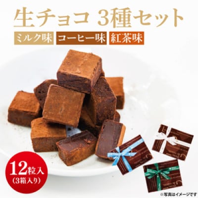 生チョコ 3種(ミルク味・コーヒー味・紅茶味) 12粒×3箱