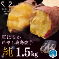 【人気返礼品】鹿島焼芋 純 1.5kg
