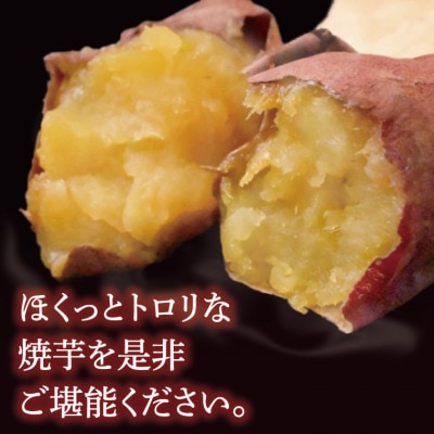 【人気返礼品】鹿島焼芋 純 3kg(KBK-13)