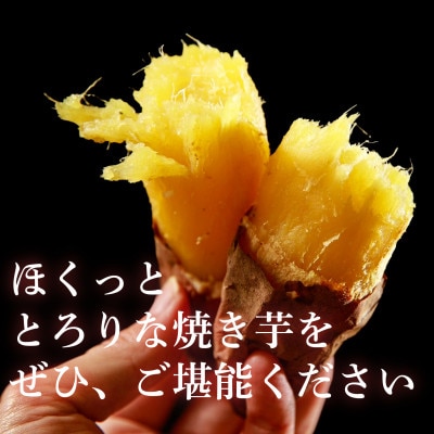【地元中学生とコラボ返礼品】鹿島焼芋なめらか焼芋アイス6個&ひゃっこい冷凍焼芋1kg(KBK-35)