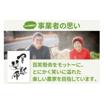 季節の野菜セット・百笑懸命栽培