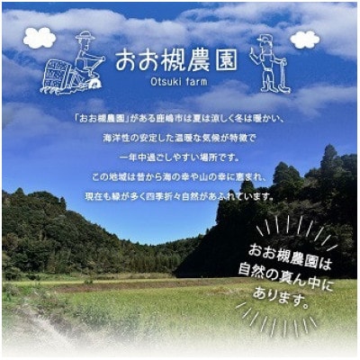 幻の品種　フルーツキャベツ 5kg【産地直送 茨城県鹿嶋市】