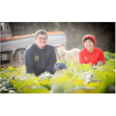 幻の品種 フルーツキャベツ 10kg【産地直送 茨城県鹿嶋市】