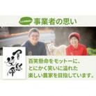 【毎月定期便】季節の野菜セット・百笑懸命栽培野菜セット全12回