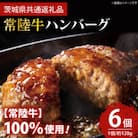 常陸牛100% ハンバーグ 約120g×6個