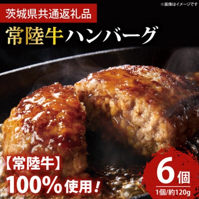 常陸牛100% ハンバーグ 約120g×6個