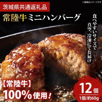 常陸牛100% ミニハンバーグ 約60g×12個
