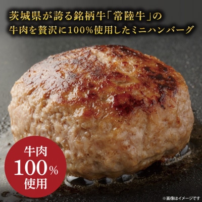 常陸牛100% ミニハンバーグ 約60g×12個