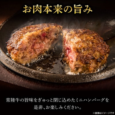 常陸牛100% ミニハンバーグ 約60g×12個