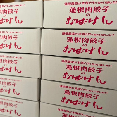 蓮根肉餃子のおばけん【70粒】