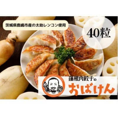 【お試しサイズ】蓮根肉餃子のおばけん【40粒】