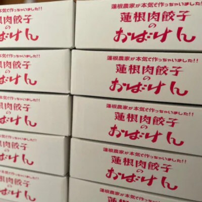 【大満足】蓮根肉餃子のおばけん【140粒】