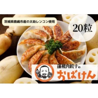 【毎月定期便】蓮根肉餃子のおばけん[20粒]全6回