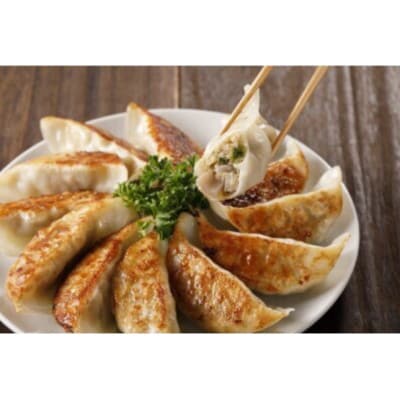 【毎月定期便】蓮根肉餃子のおばけん[20粒]全6回