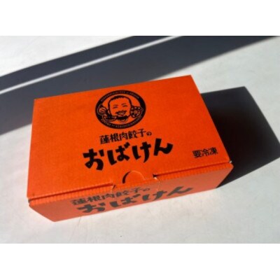 【毎月定期便】蓮根肉餃子のおばけん[20粒]全12回