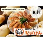 【毎月定期便】蓮根肉餃子のおばけん[40粒]全3回