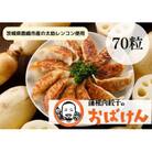 【毎月定期便】蓮根肉餃子のおばけん[70粒]全3回