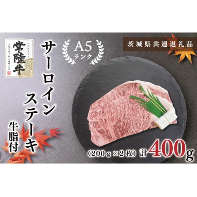 【常陸牛A5ランク 】サーロインステーキ 約400g (約200g×2枚)