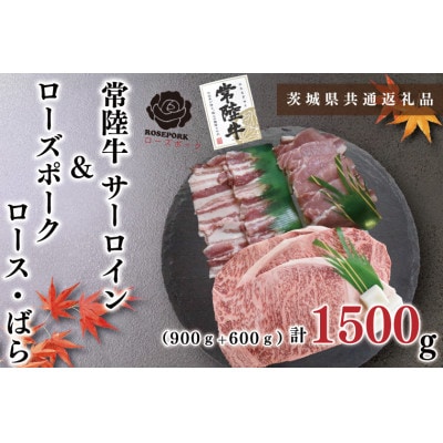 常陸牛A5ランク&ローズポーク◆ステーキ焼肉セット9～10人前◆ステーキ約900g、ポーク約600g
