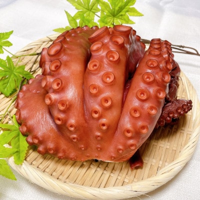 茨城県 鹿島だこ 800～900g