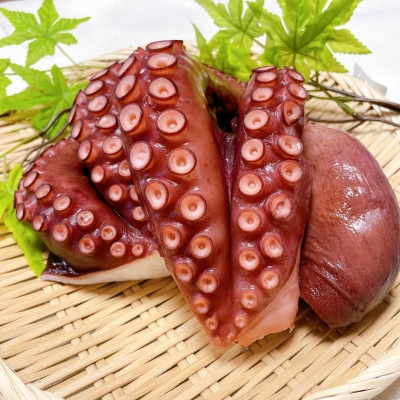 茨城県 鹿島だこ 800～900g