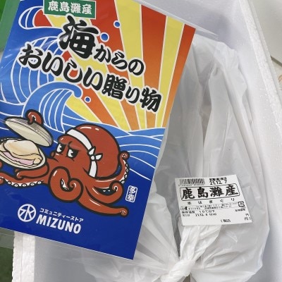 茨城県 鹿島灘はまぐり 18粒以上