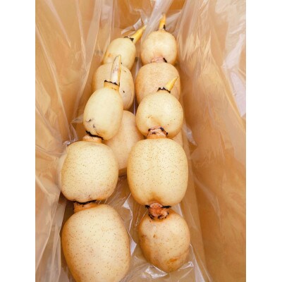 【さとふる限定】栽培方法にこだわって育てたれんこん 約2kg