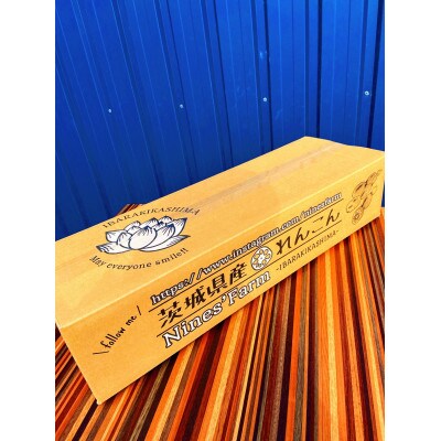 【さとふる限定】栽培方法にこだわって育てたれんこん 約2kg