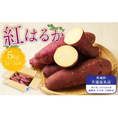 【先行予約】生さつまいも　紅はるか5kg【茨城県共通返礼品】