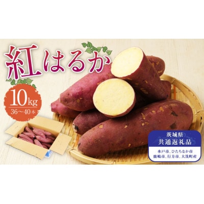 【先行予約】生さつまいも　紅はるか10kg【茨城県共通返礼品】