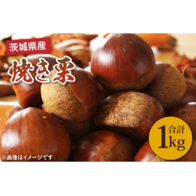 【先行予約】【11月下旬より発送】焼き栗 1kg(茨城県産)