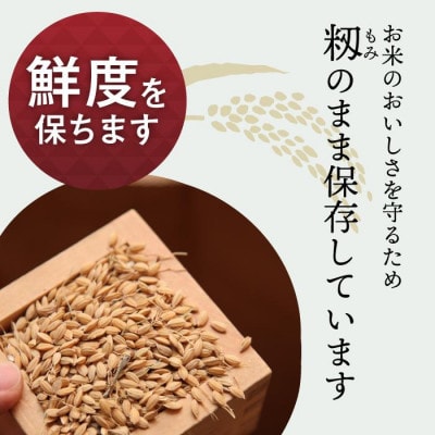 JAS認証 有機栽培米  玄米 2kg 新潟県産 コシヒカリ