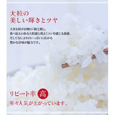 【新潟ブランド米】【精米】刈羽村産新之助 5kg