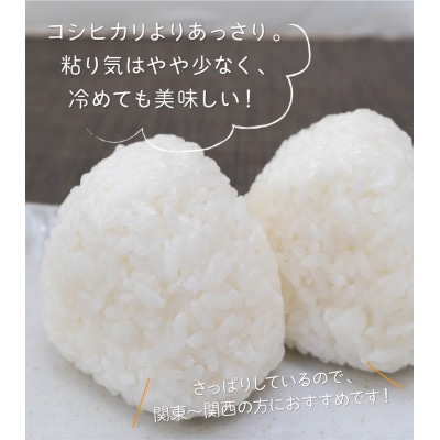 【新潟県早生品種】【精米】刈羽村産こしいぶき 5kg