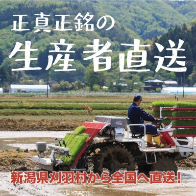 【新潟ブランド米】【玄米】刈羽村産新之助 5kg