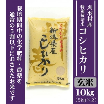 【新潟特別栽培米】【玄米】刈羽村産コシヒカリ 10kg(5kg×2袋)