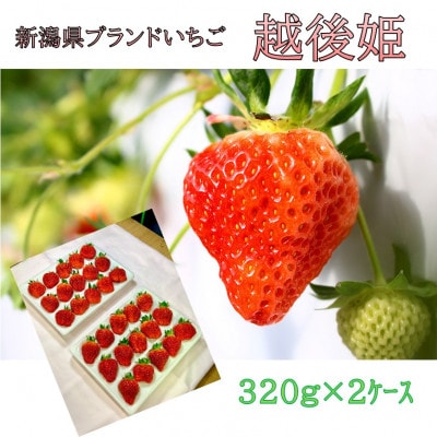 とうりんぼ産 越後姫