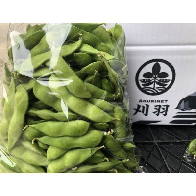 新潟県刈羽村産　早生茶豆3kg(500g×6パック)
