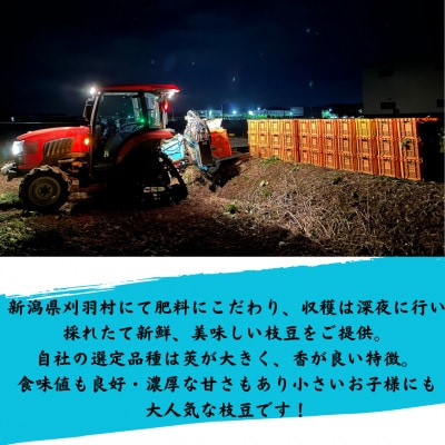 新潟県刈羽村　朝採直送枝豆　刈羽娘1kg(500g×2パック)