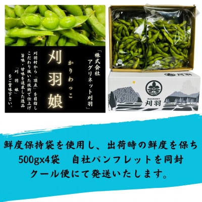 新潟県刈羽村　朝採直送枝豆　刈羽娘2kg(500g×4パック)