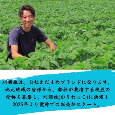 新潟県刈羽村　朝採直送枝豆　刈羽娘3kg(500g×6パック)