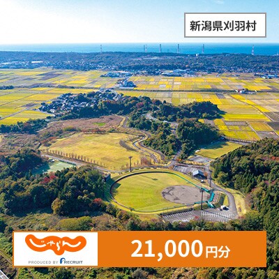 【じゃらんふるさと納税クーポン】 新潟県刈羽村でつかえる21,000円 クーポン